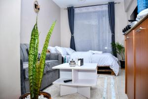 Elegant Studio with Rooftop Pool in Nairobi -Jovial Homes