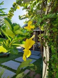 Chacaramoriá - Cianorte