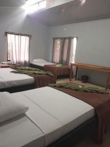 Cabinas Corcovado Green Parrot, Los Planes Drake