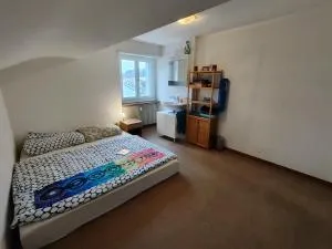 CozyStay near Basel - Bottmingen