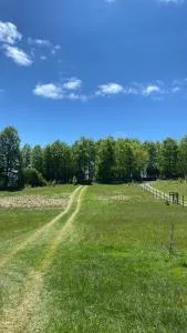 Casa del bosque - Collico