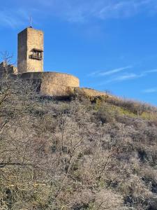Appartements La Closerie du Chateau - Vignoble a 10mn de COLMAR : photos des chambres
