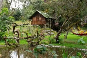 Cabañas Rusticas El Viejo Tambo - 圣佩德罗
