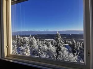 Pöllönpesä Iso-Syöte