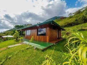 Aloha Chirripo Lodge - Violeta