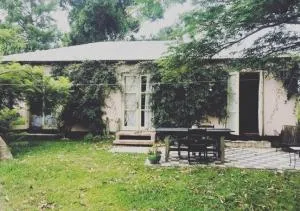 Zen Frog La Pedrera - 罗恰