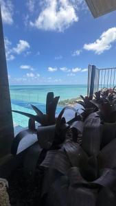 Maceio New time