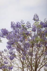 Dar Nadim sur le Golf de Samanah