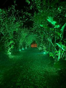 Sítio feliz Guaramiranga