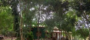 LLT kuweni palace and safari