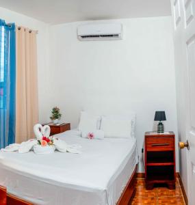 coati del arenal posada