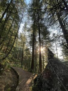 Apple Valley Homestay
