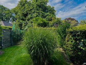 Bed and Breakfast: Bij ons Achter