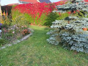 Ferienhaus am Feld nahe Berlin