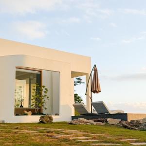 ยอดน้ำค้าง ม่อนเเจ่ม Yodnamkhang Monjam