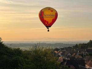Appartements La Closerie du Chateau - Vignoble a 10mn de COLMAR : photos des chambres