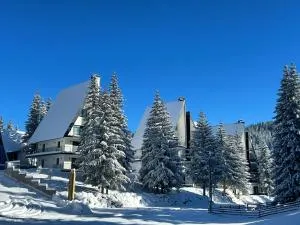 GO Jahorina by Olympic Gardens - Bistrica