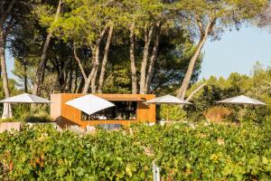 Hotels Domaine la Pierre Blanche : photos des chambres