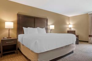 King Room - Non-Smoking room in Comfort Inn Opelika - Auburn