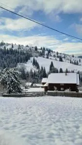 Villa Filiak - 亚布卢尼齐亚