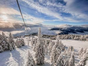 Panorama Krvavec Ski-in, Ski-out