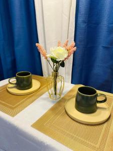 Horizon 101 Cheapest Rental