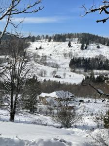 B&B / Chambres d'hotes La Ferme de Jean entre lacs et montagnes : photos des chambres