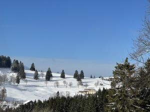 B&B / Chambres d'hotes La Ferme de Jean entre lacs et montagnes : photos des chambres