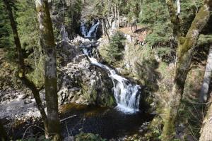 B&B / Chambres d'hotes La Ferme de Jean entre lacs et montagnes : photos des chambres