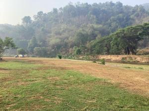 Camper van thank you1