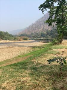 Camper van thank you1