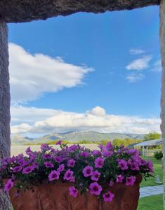 Limbara dreaming img70