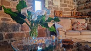 Limbara dreaming img74