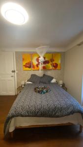 Sejours chez l'habitant Etxe Arrosa : photos des chambres