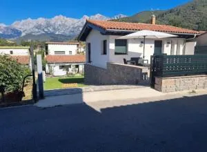 Mirando a los Picos de Europa - Tollo