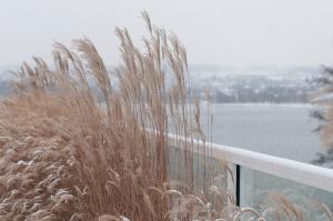 RIVA - Das Hotel am Bodensee