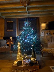 Chalets Le chalet de l’Onde : photos des chambres