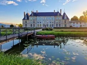 Château de Vitry-la-Ville - 维特里勒弗朗索瓦