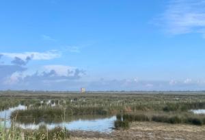 Maisons de vacances La Camargue Appartment mit Pool : photos des chambres