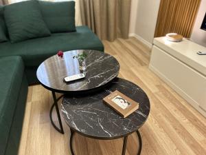 Spacious Fancy Apartment