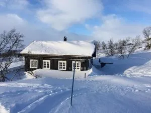 Charming cabin in beautiful Ustaoset - 于斯塔奥瑟特