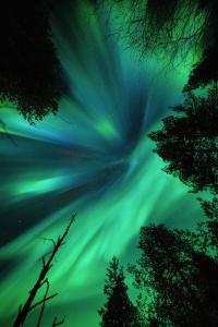 Rovaniemi Grand Residence