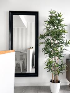 51 E-scape Home by Best Holidays Fuerteventura