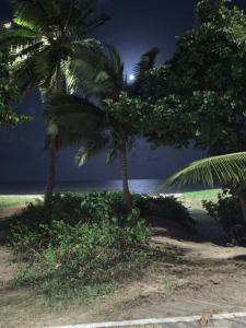 Encantador apartamento Ilha do Caribe