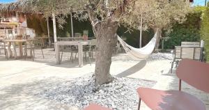 Hotels Blanc Sable Hotel : photos des chambres