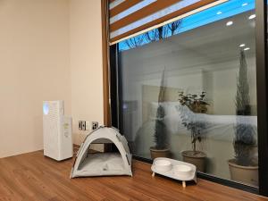 Stay33 Pet friendly house near Hwangridangil