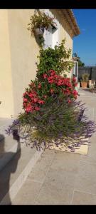 Magnifique Studio piscine et parking privé