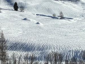 Apartment Almenrausch 2- OG Süd-Ost by Interhome