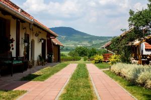 Namas Kemenc&eacute;s Vend&eacute;gh&aacute;z Golop Vengrija