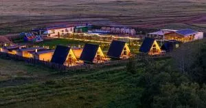 Orman Park - Koyandy